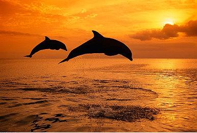 《看门狗：军团》联动网飞电视剧《纸钞屋》 解锁专属皮肤奖励